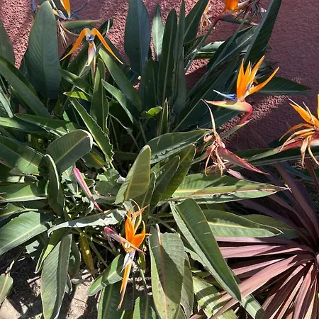 مكان تخييم Del Mar 10, Mobil Petit Paradis, 6 Personnes, Bord De Mer, Del Mar Village