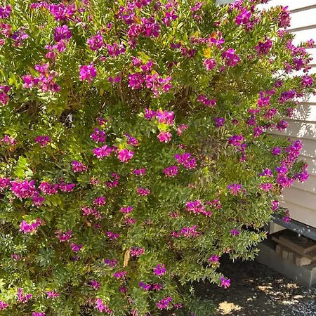Del Mar 10, Mobil Petit Paradis, 6 Personnes, Bord De Mer, Del Mar Village キャンプ場 アルジェレス・シュル・メール
