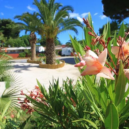 Del Mar 10, Mobil Petit Paradis, 6 Personnes, Bord De Mer, Del Mar Village Argelès-sur-Mer