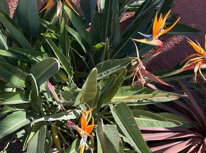 Κάμπινγκ Del Mar 10, Mobil Petit Paradis, 6 Personnes, Bord De Mer, Del Mar Village