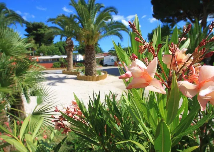 Del Mar 10, Mobil Petit Paradis, 6 Personnes, Bord De Mer, Del Mar Village Argelès-sur-Mer