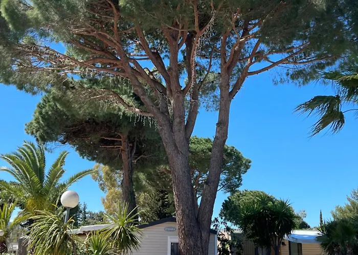 Κάμπινγκ Del Mar 10, Mobil Petit Paradis, 6 Personnes, Bord De Mer, Del Mar Village